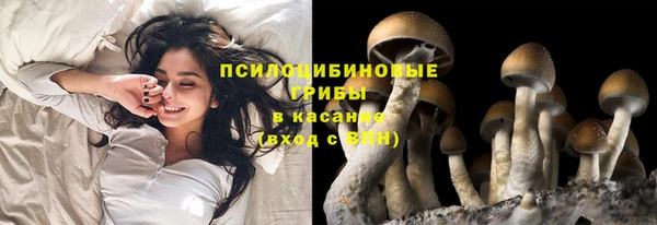 прущий лед Абаза