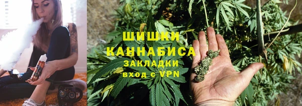 сатива Пестово