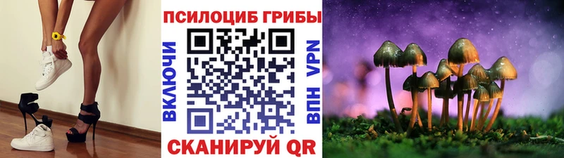 Псилоцибиновые грибы Psilocybe  Фурманов 